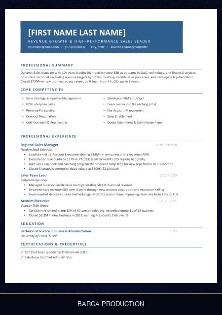 sales-manager-resume template preview